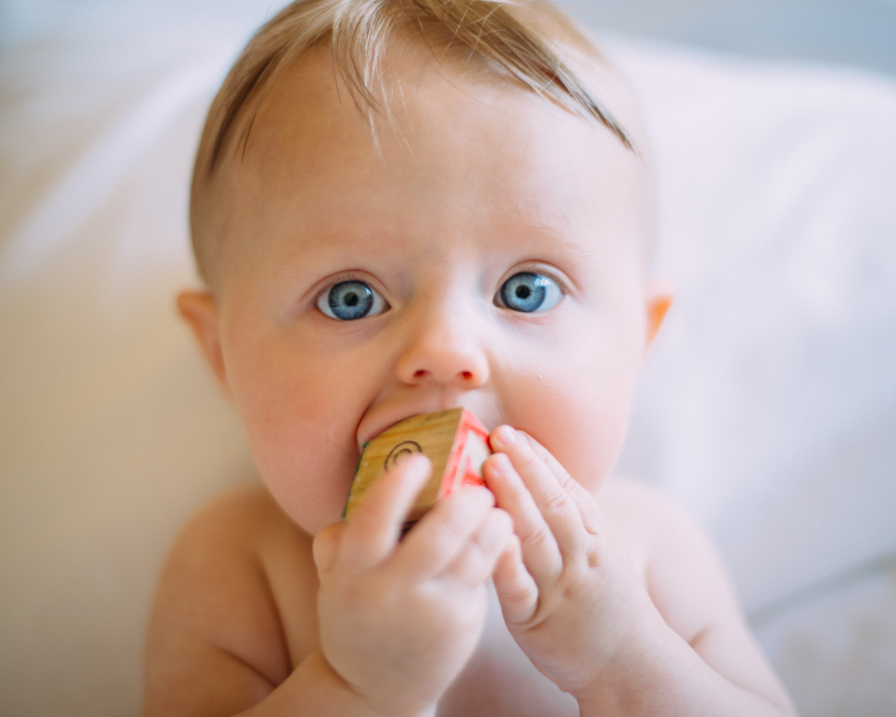 baby-kaut-an-spielwuerfel Baby mit blauen Augen kaut gedankenverloren an einem Spielwürfel